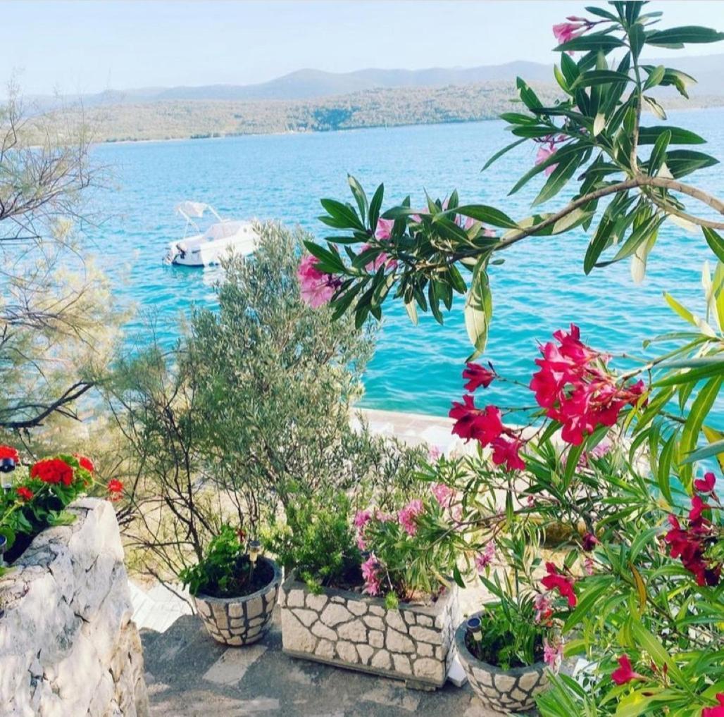 House Paula Διαμέρισμα Klek Εξωτερικό φωτογραφία